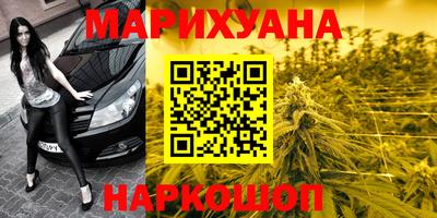 прущие крисы Нальчик