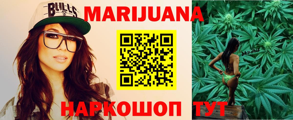 Конопля планчик Шахты